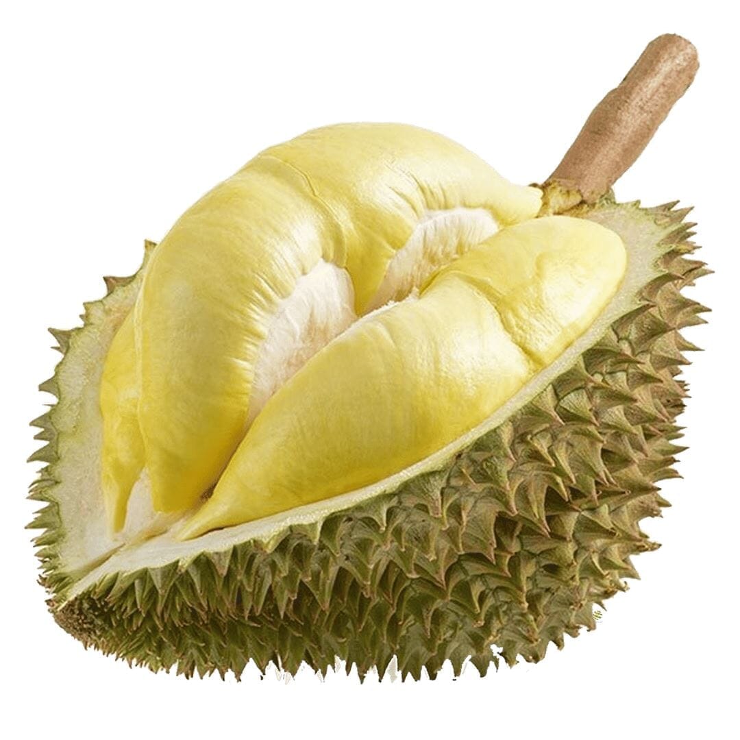 Durian Die Königin der Früchte