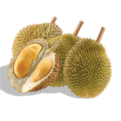 Durian – Die Königin der Früchte mit Einzigartigem Geschmack (ca. 2,7 kg) - Obstwelt