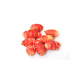 Oxalis/Oca de Peru Rot - Obstwelt