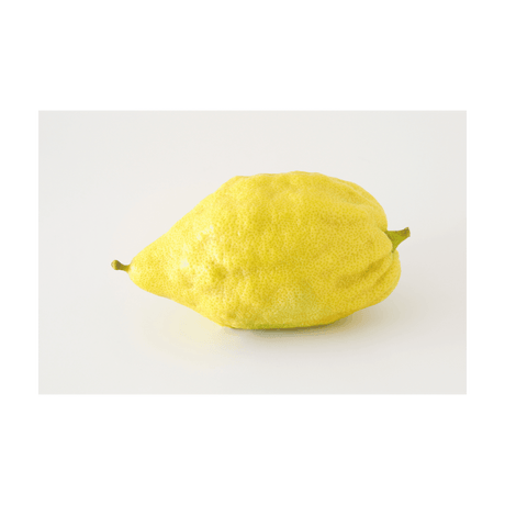 Etrog – Traditionell, Aromatisch und Symbolträchtig - Obstwelt