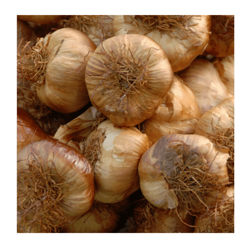 Gerauchter Knoblauch - Obstwelt