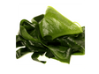 Wakame - Das Superfood aus dem Meer - Obstwelt