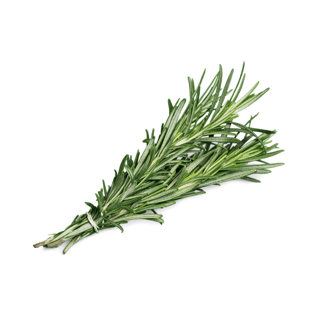 Sea Rosemary - Die aromatische Küstenpflanze - Obstwelt