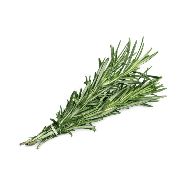 Sea Rosemary - Die aromatische Küstenpflanze - Obstwelt