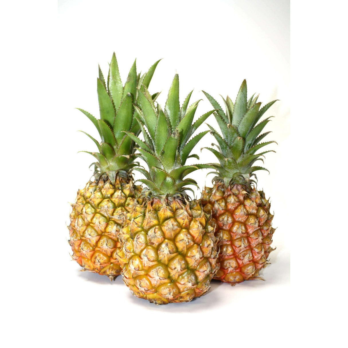 Frische Mini-Ananas für tropischen Genuss - Obstwelt