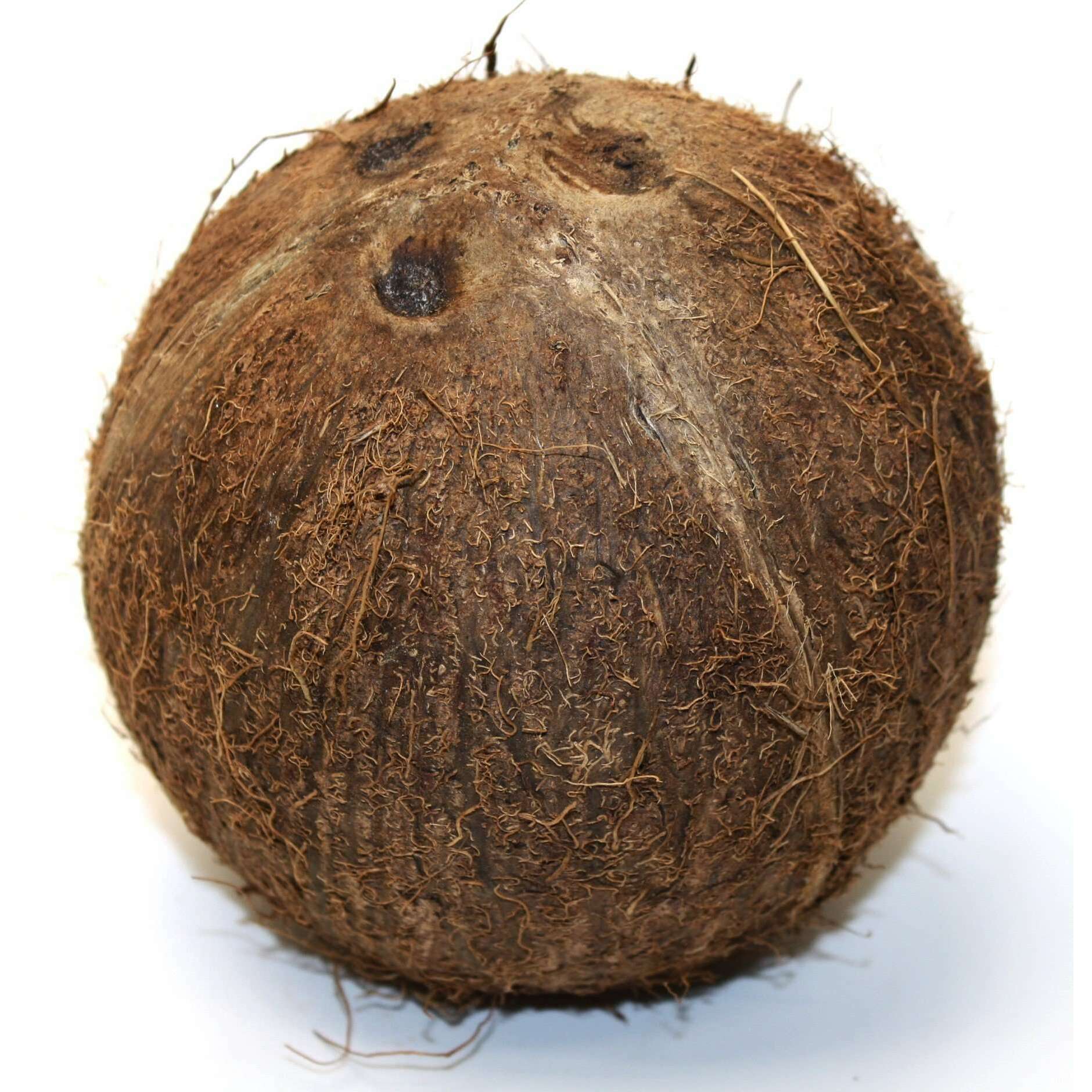 Kokosnuss – Tropisch, Nahrhaft und Vielseitig - Obstwelt