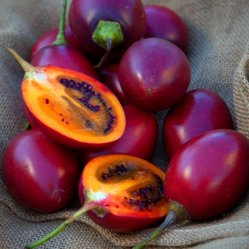 Tamarillo – Exotisch und Nährstoffreich - Obstwelt