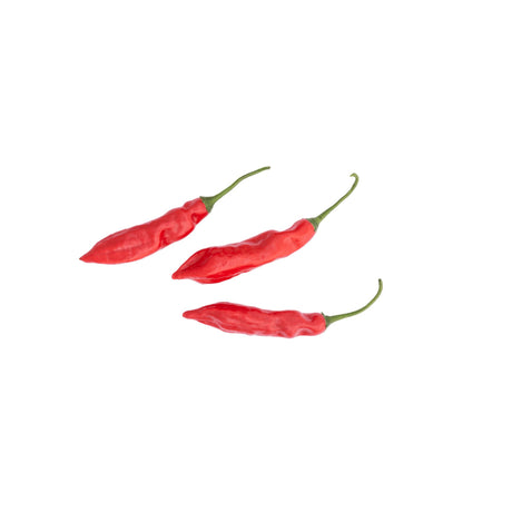 Aji Limo Rot – Authentisches peruanisches rotes Chili chili Obstwelt 