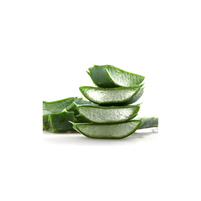 Aloe Vera Blätter Exoten Obstwelt 