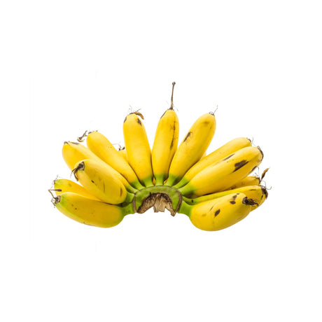 Bananitos Mini-Bananen Exoten Obstwelt 