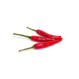 Bird Eye Chili Rot – Scharfe Chilis für feurige Rezepte chili Obstwelt 