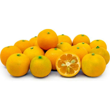 Calamondinorangen Exoten Obstwelt 