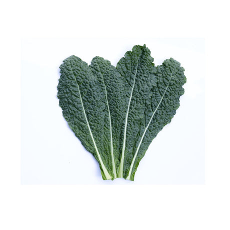 Cavolo Nero Gemüse Obstwelt 