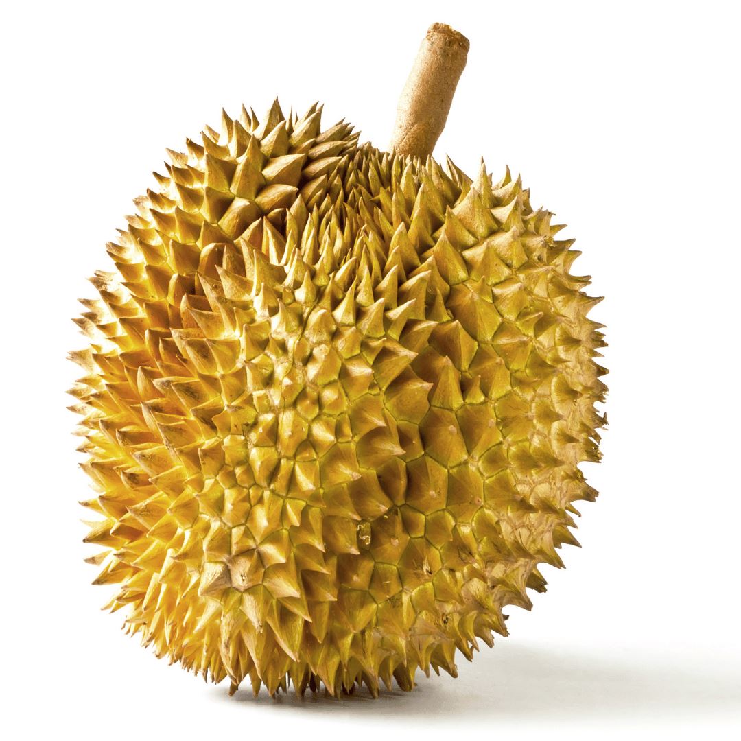 Durian – Die König der Früchte für exotische Geschmackserlebnisse Exoten Obstwelt 