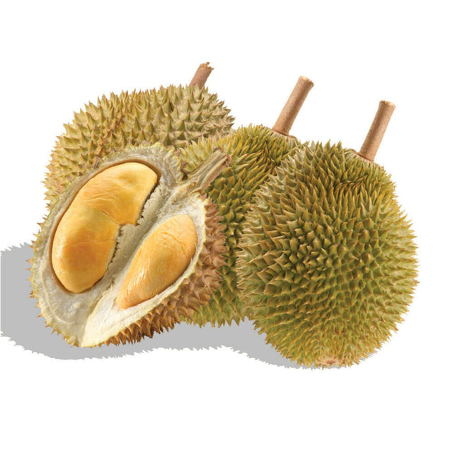 Durian Exoten Obstwelt 