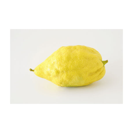 Etrog – Aromatische Zitrusfrucht Exoten Obstwelt 