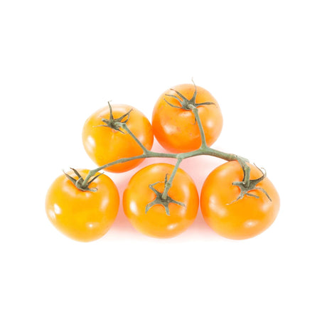 Gelbe Strauchtomaten – Süß-aromatische Tomaten Gemüse Obstwelt 