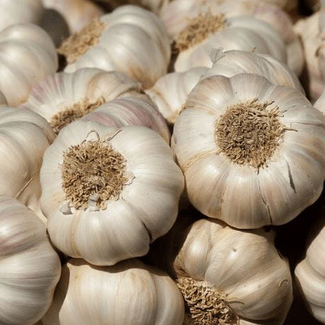 Knoblauch – Aromatische Würze für vielfältige Gerichte Gemüse Obstwelt 