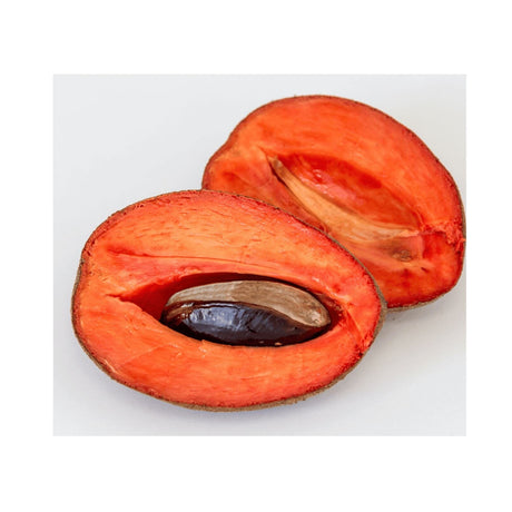 Mamey Zapote – Cremige Exotenfrucht Exoten Obstwelt 