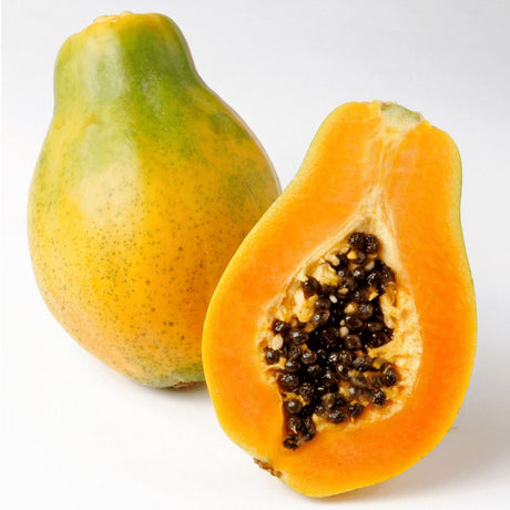 Papaya Samba Exoten Obstwelt 