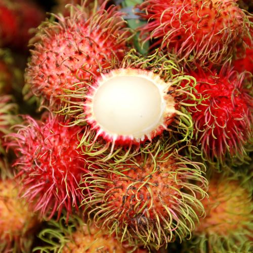 Rambutan Exoten Obstwelt 