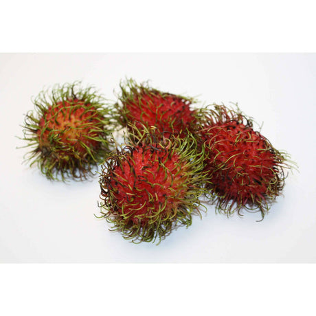 Rambutan – Exotische, süße Frucht Exoten Obstwelt 