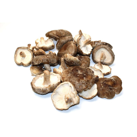 Shiitake Pilze Pilze Obstwelt 