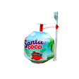 Trinkkokosnuss Santa Coco Exoten Obstwelt 