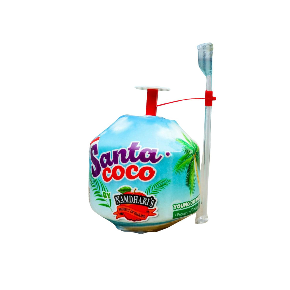 Trinkkokosnuss Santa Coco Exoten Obstwelt 